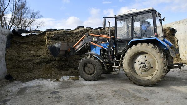 Заготовка кормов на ферме - Sputnik Латвия