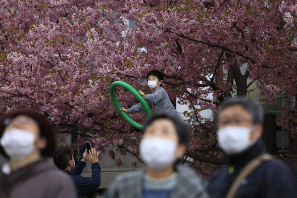 Люди в масках на фестивале цветения вишни в Японии  - Sputnik Латвия
