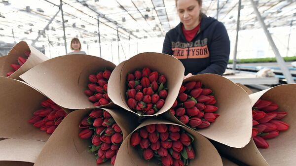 Цветочные букеты - Sputnik Латвия