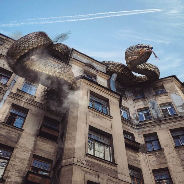Змея на здании в Санкт-Петербурге в работе художника Вадима Соловьева - Sputnik Латвия
