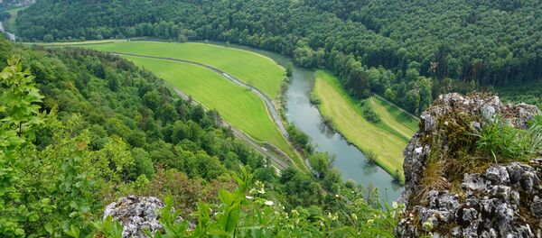 Река Дунай Река Дунай - Sputnik Латвия