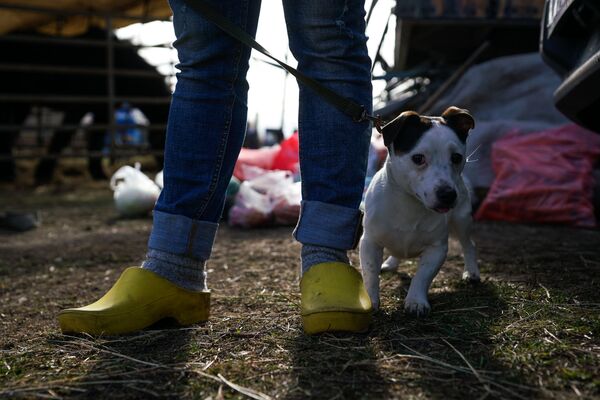 Приходят и латыши, и русские: блокированным эпидемией чехам помогает вся Рига Приходят и латыши, и русские: блокированным эпидемией чехам помогает вся Рига - Sputnik Латвия