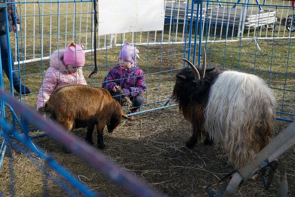 Приходят и латыши, и русские: блокированным эпидемией чехам помогает вся Рига Приходят и латыши, и русские: блокированным эпидемией чехам помогает вся Рига - Sputnik Латвия