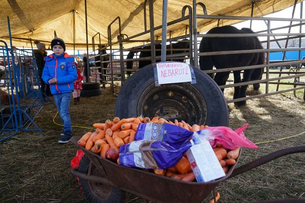 Приходят и латыши, и русские: блокированным эпидемией чехам помогает вся Рига Приходят и латыши, и русские: блокированным эпидемией чехам помогает вся Рига - Sputnik Латвия