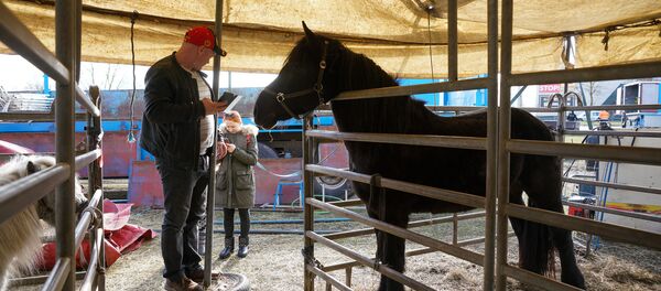 Цирк из Чехии стал заложником ситуации с коронавирусом - Sputnik Латвия