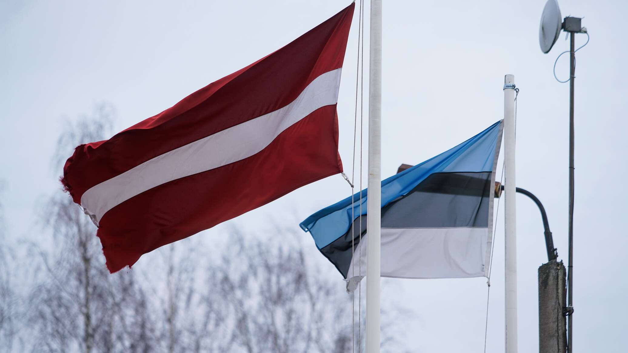 штейнбука. флаг эстонии. рига новости. бмв президента латвии. шествия сс в латвии.