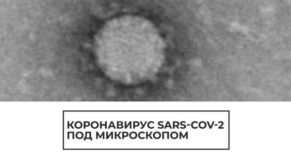 Как выглядит коронавирус COVID-19 под микроскопом: российские ученые сфотографировали и показали - Sputnik Латвия