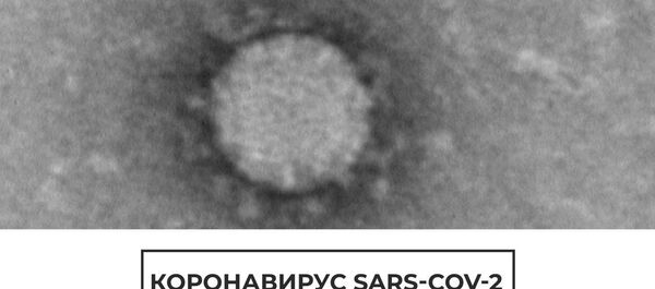 Как выглядит коронавирус COVID-19 под микроскопом: российские ученые сфотографировали и показали - Sputnik Латвия