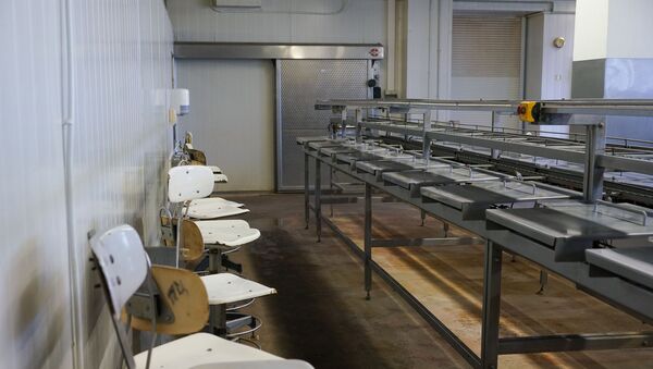 Простаивающий конвейер и пустые рабочие места в консервном цеху после массовых сокращений - Sputnik Latvija
