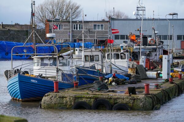 Езжайте в Россию, где ждет карьера: лидер Русской общины Лиепаи против мытья туалетов в ЕС Езжайте в Россию, где ждет карьера: лидер Русской общины Лиепаи против мытья туалетов в ЕС - Sputnik Латвия