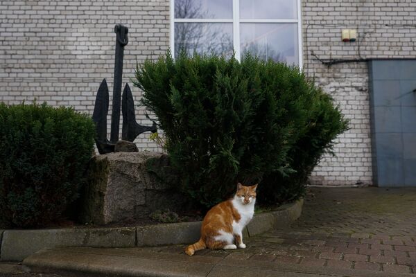 До встречи осенью или никогда: Лиепайский рыбоконсервный завод останавливает производство До встречи осенью или никогда: Лиепайский рыбоконсервный завод останавливает производство - Sputnik Латвия