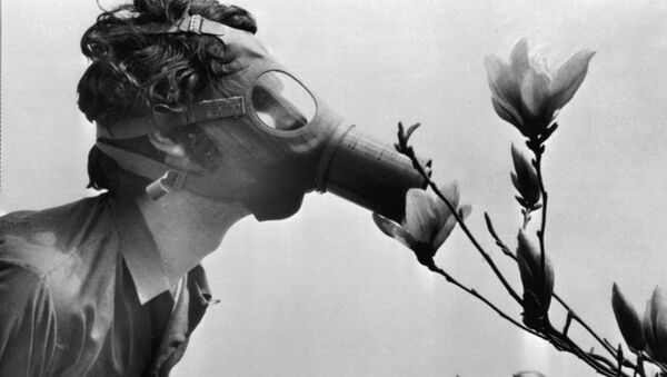 Студент в противогазе нюхает цветок в парке Нью-Йорка в 1970 году, архивное фото - Sputnik Латвия