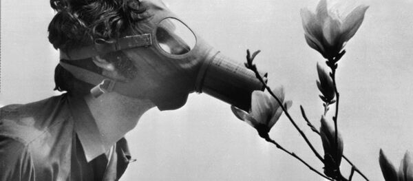 Студент в противогазе нюхает цветок в парке Нью-Йорка в 1970 году, архивное фото Студент в противогазе нюхает цветок в парке Нью-Йорка в 1970 году, архивное фото - Sputnik Латвия