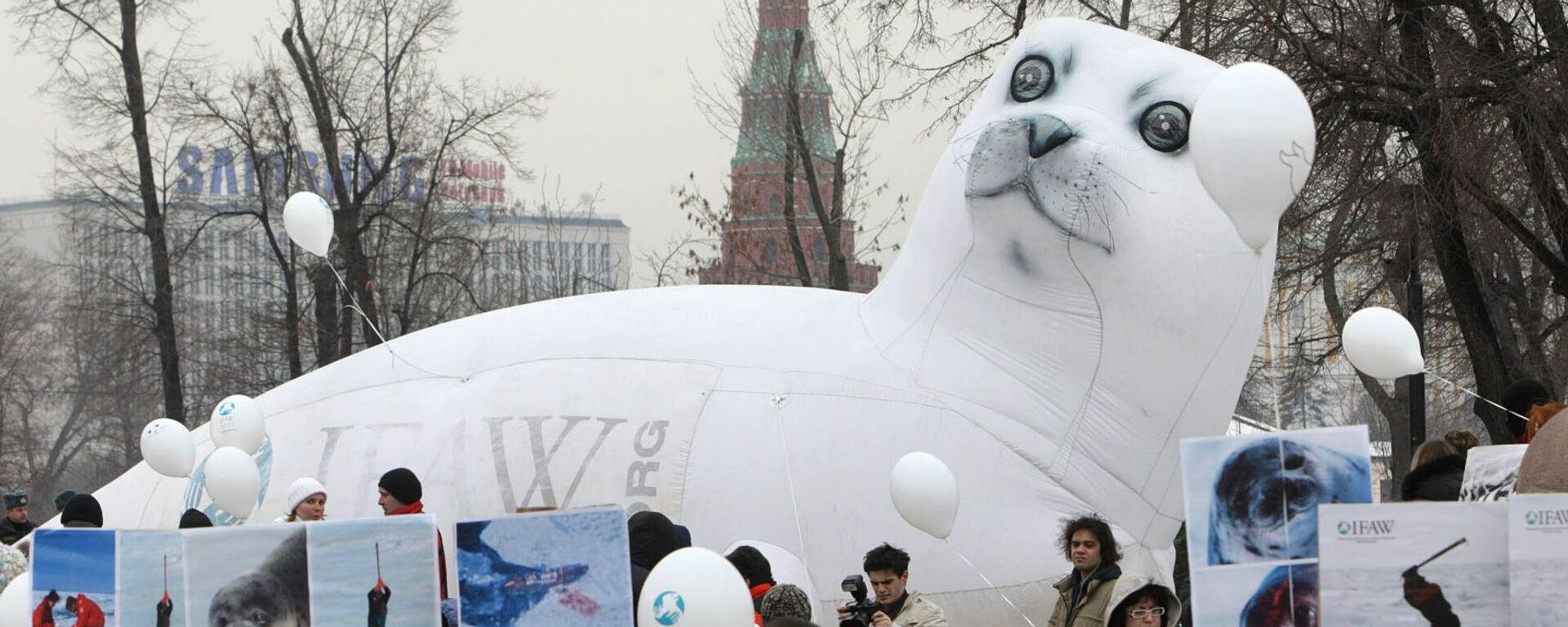 Акция в защиту тюленей Не бей лежачего! - Sputnik Латвия, 1920, 14.01.2026