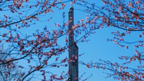 В Парке Победы в Риге цветет сакура - Sputnik Latvija