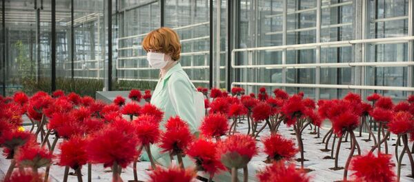 Кадр из фильма Маленький Джо - Sputnik Латвия