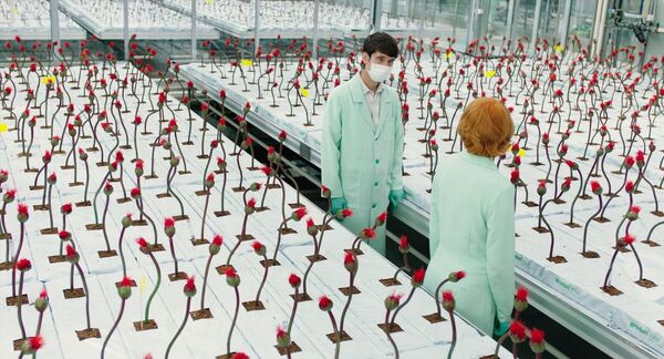 Цветочек счастья и мужчины в аренду: фильмы о женщинах, которые стоит посмотреть - Sputnik Латвия