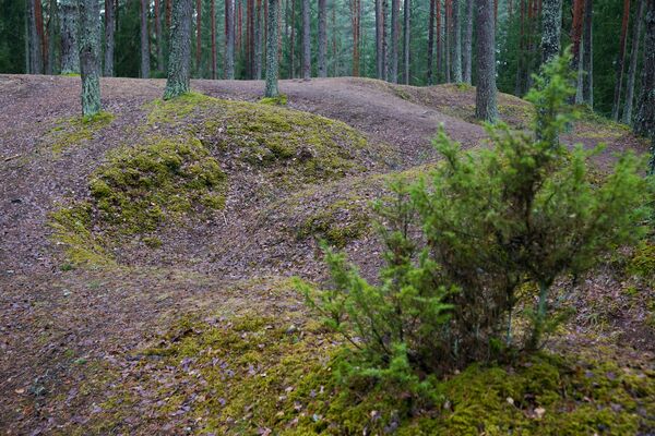 Спите, орлы боевые: что в Латвии происходит с останками героев Первой мировой - Sputnik Латвия