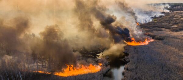 Пожар в зоне отчуждения Чернобыльской АЭС - Sputnik Латвия