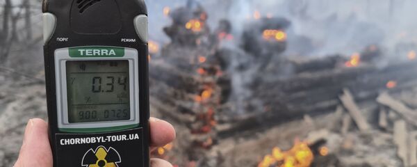 Пожар в зоне отчуждения Чернобыльской АЭС - Sputnik Латвия