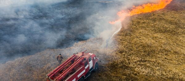 Пожар в зоне отчуждения Чернобыльской АЭС Пожар в зоне отчуждения Чернобыльской АЭС - Sputnik Latvija