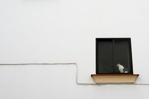 Кошка сидит на окне дома в Испании - Sputnik Латвия