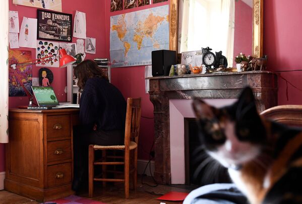 Французская школьница и ее кошка - Sputnik Латвия