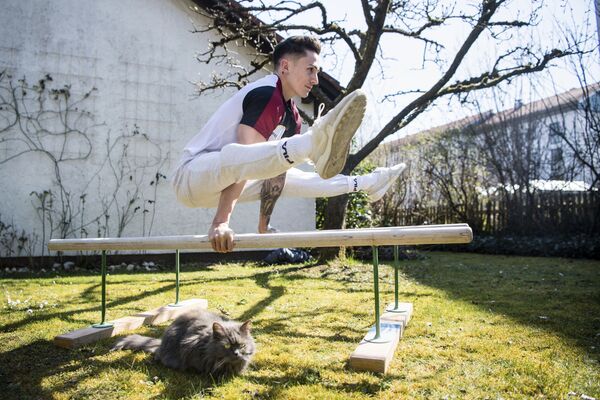 Кот сидит под гимнастическим снарядом во время тренировки - Sputnik Латвия