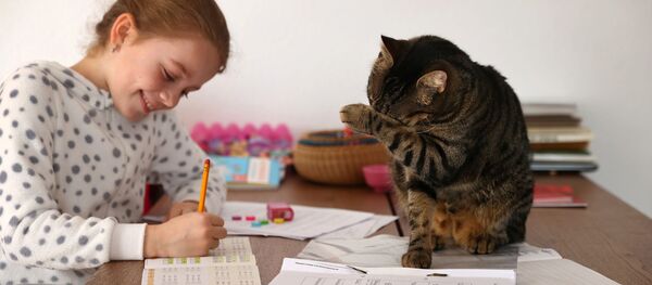 Ученица Кети Сингер из Югенхайма во время домашнего обучения в связи с пандемией коронавируса  - Sputnik Латвия