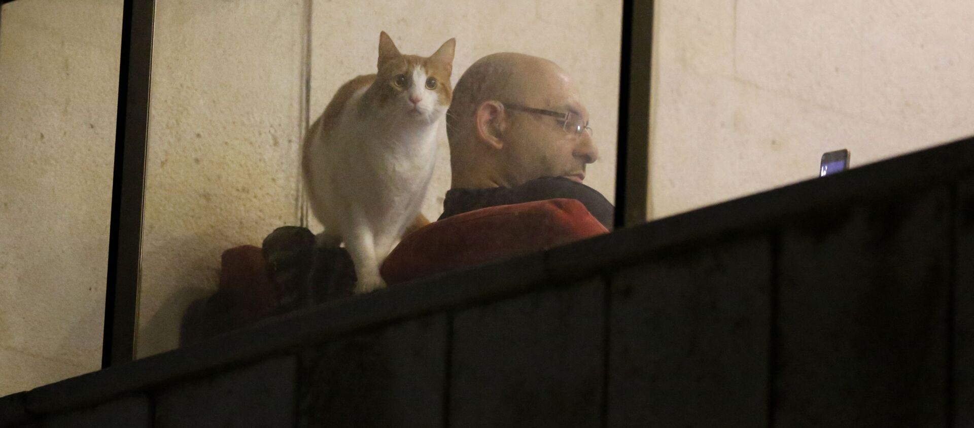 Мужчина с котом в окне квартиры в Бейруте, Ливан - Sputnik Латвия, 1920, 09.03.2021