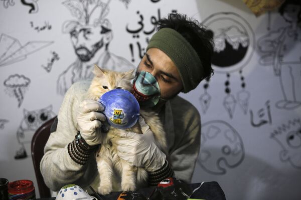Художник с кошкой в маске в Газе  - Sputnik Латвия