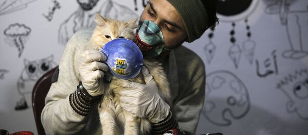 Художник с кошкой в маске в Газе  Художник с кошкой в маске в Газе  - Sputnik Latvija