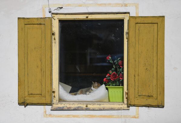 Кошка в окне дома в Обераммергау, Германия - Sputnik Латвия