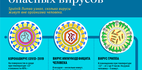Срок жизни опасных вирусов Срок жизни опасных вирусов - Sputnik Латвия