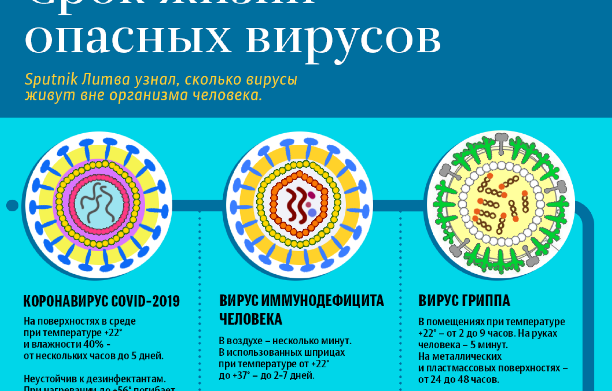 COVID-19, корь, ВИЧ: сколько живут опасные вирусы - 22.04.2020, Sputnik  Латвия