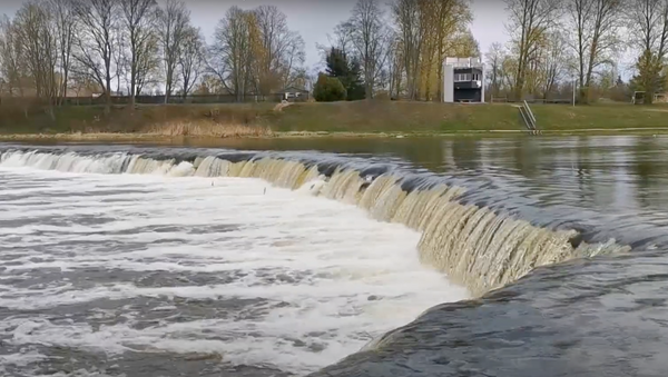 Летающая рыба по-латвийски: как вимба штурмует водопад - Sputnik Латвия