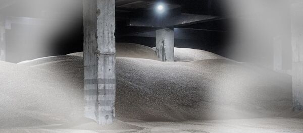 Действие фильма развернется на Андрейсале, напоминающей декорации фильмов Тарковского. - Sputnik Латвия