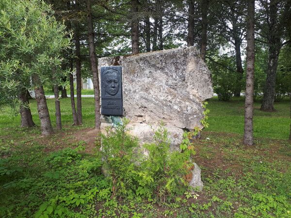 Снежная кавалерия Яна Райнберга: рейд лыжного батальона в бессмертие - Sputnik Латвия