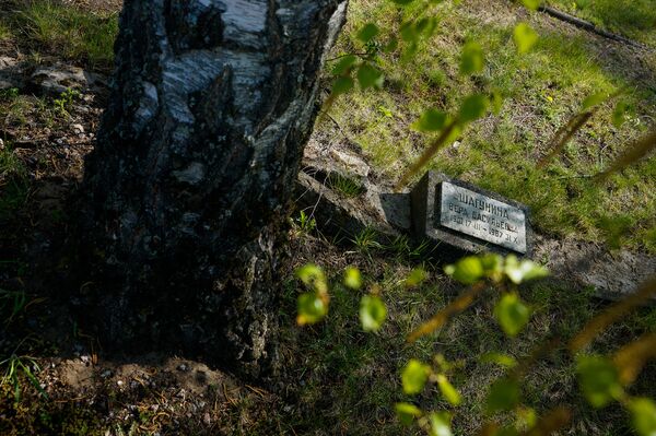 Чужой праздник: как и почему верхушка Латвии пытается отказаться от Дня Победы - Sputnik Латвия