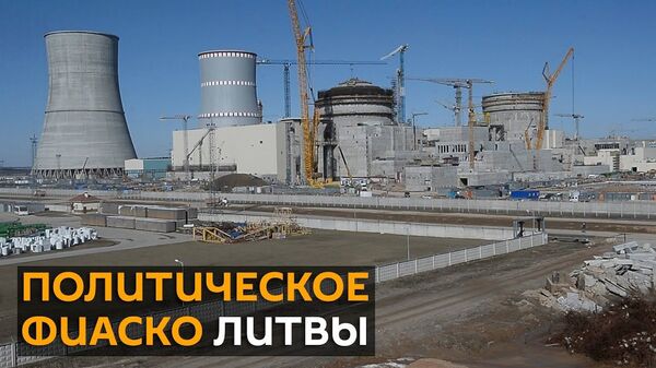Рекеда: Минску есть чем приструнить Литву в истории с БелАЭС - Sputnik Латвия