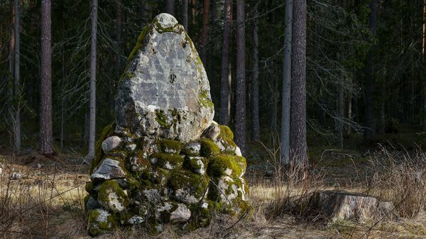 Уникальная находка в лесу под Валкой - памятный камень, рассказывающий о визите в Лифляндию дяди последнего русского царя - Sputnik Латвия