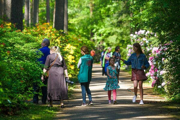 В Бабите расцвели рододендроны: как сейчас обстоят дела в самом красивом саду Латвии - Sputnik Латвия