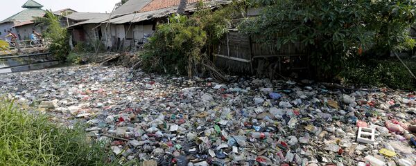 Мусор Мусор - Sputnik Latvija