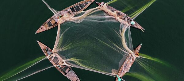 Работа фотографа из Бангладеша Абдула Момина Рыбалка на Джамуне, вошедшая в шорт-лист конкурса имени Андрея Стенина в категории «Моя планета. Одиночная фотография» - Sputnik Латвия