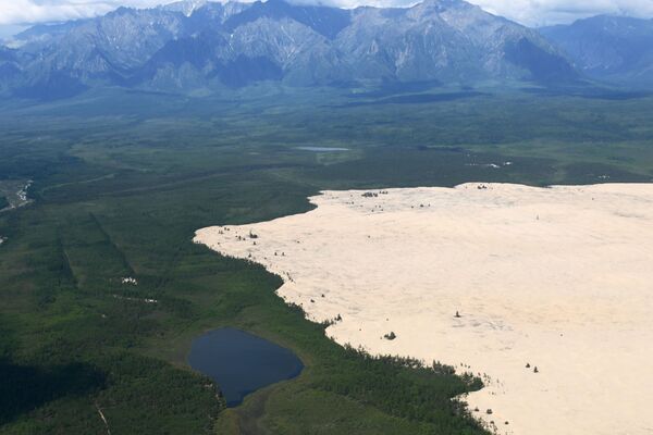 Урочище Чарские пески - песчаная пустыня размером примерно 10 км на 5 км в Забайкальском крае - Sputnik Латвия