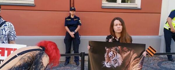 К Сейму Латвии вышли протестующие с георгиевскими лентами, требуя Запретить дураков К Сейму Латвии вышли протестующие с георгиевскими лентами, требуя Запретить дураков - Sputnik Latvija