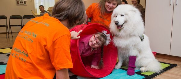 После прессконференции фонд продемонстрировал несколько занятий с больными детьми. Ученая собака самоед помогает девочке с синдромом дауна в игровой форме осваивать двигательно-моторные функции После прессконференции фонд продемонстрировал несколько занятий с больными детьми. Ученая собака самоед помогает девочке с синдромом дауна в игровой форме осваивать двигательно-моторные функции - Sputnik Latvija
