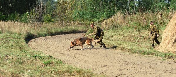 Пограничный наряд на контрольно-следовой полосе. Архивное фото - Sputnik Латвия