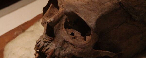 Череп человека - Sputnik Латвия