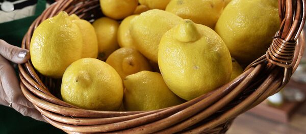 Лимоны в корзине Лимоны в корзине - Sputnik Latvija